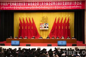 中国共产党西藏自治区第十届委员会第七次全体会议暨自治区党委经济工作会议在拉萨举行图片