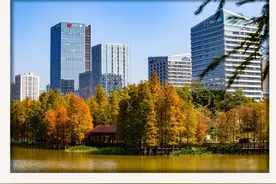 早参｜广州地铁十一号线、广清城际铁路北延线今日同日开通；明日广州早晨最冷只有7℃图片
