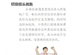 转发周知！遇到野生东北虎怎么办？图片