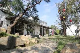 占地超千平，金山小伙打造了一座乡村小院……图片