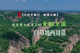 【文化中国行·陇原古韵】陇东黄土高原上的青铜王国——白草坡西周墓图片