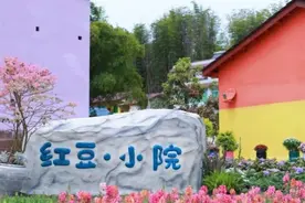 烟火与诗意的完美融合！合川这个小院让人一眼沦陷图片