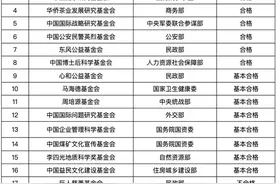 民政部公示未认定为慈善组织的基金会2023年度检查拟定结论图片