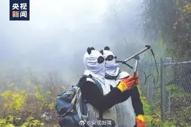 熊猫野外恋爱背后 有一群奇怪熊猫人图片