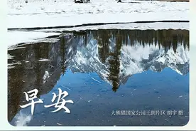 一帧中国丨春雪作飞花（2025年3月18日）图片