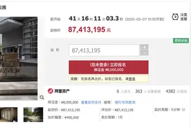起拍价超8700万元，韩后创始人王国安再度拍卖其广州豪宅图片