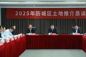30余宗优质地块集中亮相！2025年济南市历城区土地推介恳谈会成功举办图片