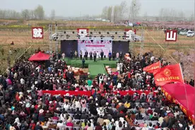 “王婆”热度传到村 桃花节上来相亲图片