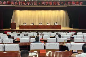 杨建国：连续全省出彩，平顶山乡村正在发生“质变”！图片