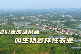 赵亚夫和他的农民朋友们 | 他们走的这条路，叫生物多样性农业图片