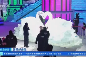 想避暑，去东北！哈尔滨梦幻冰雪馆接待游客近10万人次图片