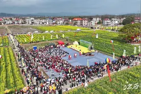兴国：千亩油菜花点亮春天图片