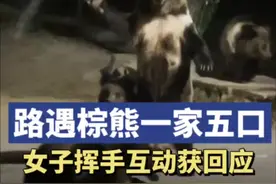 女子路遇棕熊一家五口挥手互动图片