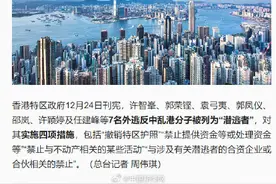 7名外逃反中乱港分子护照被撤销图片