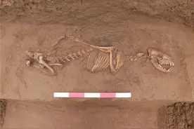金中都端礼门遗址首次发掘出土  北京市发布最新考古研究成果图片
