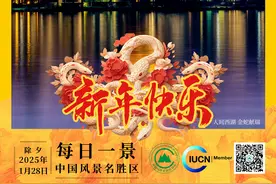 每日一景 | 人间西湖 金蛇献瑞图片