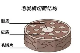 洗完头一个关键步骤，改善头发出油图片