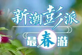 最美人间四月天，速来彭州“紫白瀑布”打卡！图片