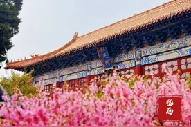 春有约花不误 又一波岱庙花开壁纸袭来！图片