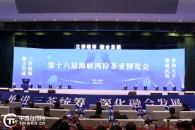 武夷片片叶 茶牵两岸情——第十六届海峡两岸茶博会盛大启幕图片