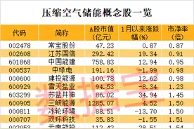核心设备100%国产，全球最大压缩空气储能电站开工，概念股稀缺图片