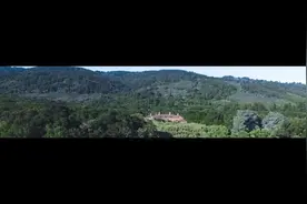 独家V观丨走进旧金山斐洛里庄园（Filoli）视频封面