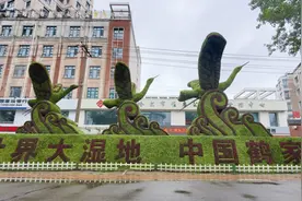 齐齐哈尔：城市面貌越来越美图片