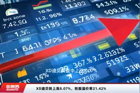 XD迪贝转上涨8.07%，转股溢价率21.42%视频封面