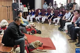 申请导盲犬，要不要邻居同意？图片