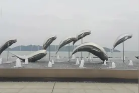 视频直击 | 中国·江豚湾，你打卡了吗图片