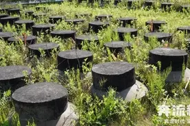 老人花12万养老钱“种酒”疑被骗，四川崇州市监局：买卖自愿图片