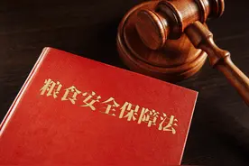 粮食安全保障法草案拟三审：明确实行占用耕地补偿制度图片