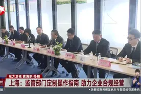 上海：监管部门定制操作指南 助力企业合规经营视频封面