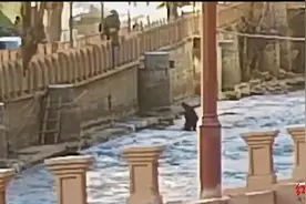 零下8℃！95后辅警跳河救起落水男孩，被授予“见义勇为公民”称号图片