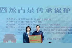 “一片绿叶”，如何撬动恩施百亿茶产业？图片
