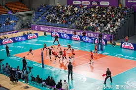 战报速递！山东日照钢铁女排主场3:0大胜河南双汇女排图片