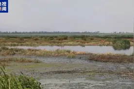 总台记者探访丨墨西哥首都缺水严重 地下水“未来四五十年将被开采完”图片