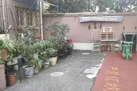 盆栽占地影响出行？美观实用“小花架”为民解难题图片