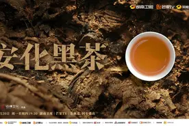 “体重管理年”来了，喝黑茶能减肥？《安化黑茶》纪录片将揭秘图片