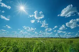 保护野生植物：严格执法之外，也该管管电商平台？图片