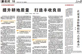 《人民日报》点赞云南芒市：冬闲田变增收田图片