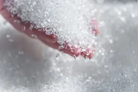 未来你的衣服可能是玉米、秸秆做的！看闵行企业如何提升新质生产力图片