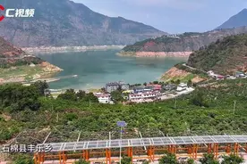 市州观察｜枇杷里还有“白雪公主”？石棉枇杷谋“增量”有妙招图片