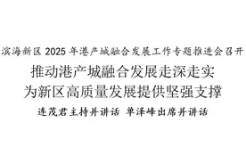 滨海新区2025年港产城融合发展工作专题推进会召开图片