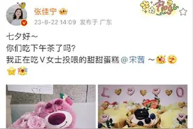 宋茜送张佳宁“七夕礼物” 粉色小熊玩偶引关注图片