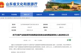 枣庄市台儿庄古城项目入选文旅产业赋能城市发展典型经验做法省级典型案例图片