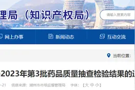 浙江省湖州市市场监督管理局公布2023年第3批药品质量抽查检验结果图片