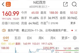 财经观察丨新股涨超19倍，历史上的“大肉签”都咋样？图片