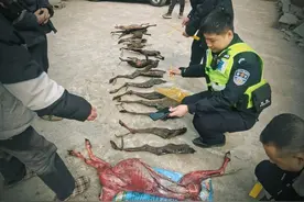 放羊人非法捕猎野生动物熏成“腊肉”贩卖被抓！警方查获中华斑羚死体1只、肢体7件图片