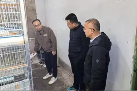 小鹦鹉成“致富鸟”，高效联动办理助企振翅飞翔！图片
